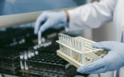 Las 9 bacterias y hongos que amenazan a la salud mundial y dan volumen a la resistencia antimicrobiana