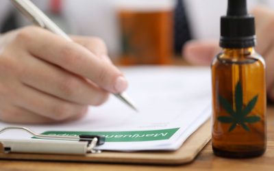 Epilepsia refractaria: tratamiento con cannabis medicinal